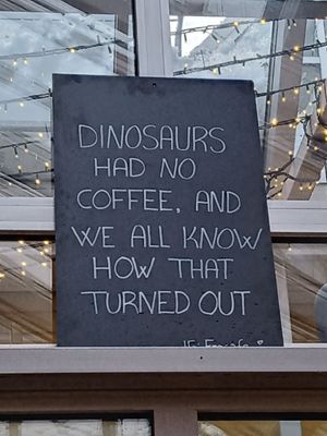 Nice citation:) at FRØ in Tromsoe