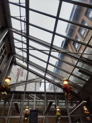 The glass ceiling at FRØ in Tromsoe