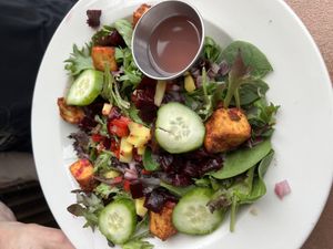Beet salad  at Umana Yana in Albany