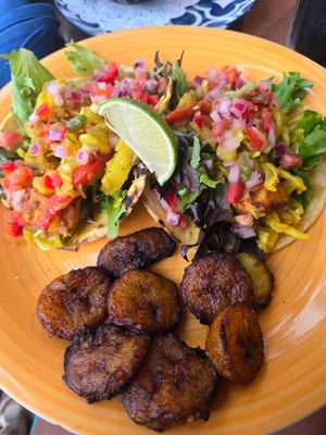  at Umana Yana in Albany