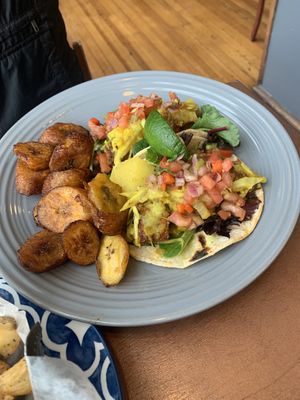 Tacos  at Umana Yana in Albany