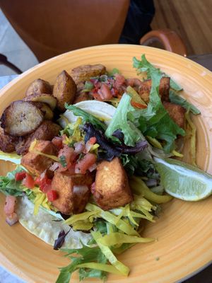 Tofu tacos  at Umana Yana in Albany