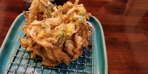 Closer look at the vegetables tempura at Menkui Kinya in Kyoto