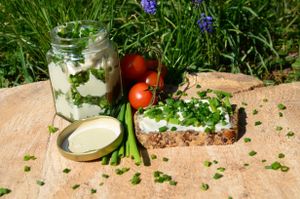 Crema-Schnittlauch: Die kba Kräuter werden morgens ab 6:00 im Morgengrauen und frischen Tau geerntet. Um 10:00 Uhr hole ich die Kräuter ab und dann kommen sie frisch in das Glas! at Cashewrella in Gottingen