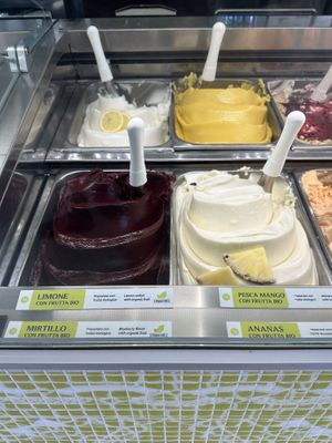 Only four vegan flavours  at Martinucci Laboratory in Polignano A Mare