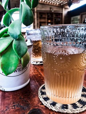 house kombucha at Vegan Namaste in La Serena