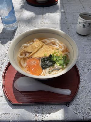 Udon noodles   at Momiji-so in Hatsukaichi