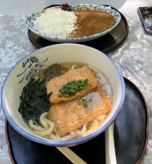 Vegetable udon and vegetable curry - 5 stars!! 👌🏼👍🏼 at Momiji-so in Hatsukaichi