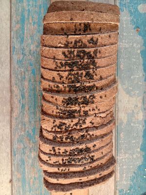 Gluten Free Bread at Solful Kitchen in Mirissa