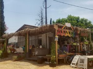 Such a lovely and authentic space to spend some time. Alone, in company, it doesn't matter. At Ananda's there's always someone to chat with if you want to.  at Ananda Curry House  in Pardes Hanna-karkur