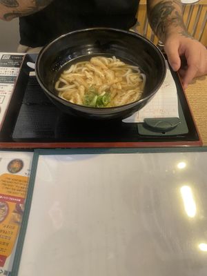 Regular udon   at Mimikou in Hiroshima