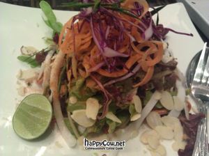 raw coconut pad thai at Ariya Organic Cafe in Bangkok