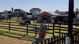  at Ashers Farm Sanctuary in Pretoria