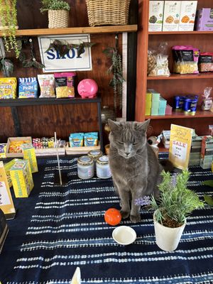 Tofu  at Ashers Farm Sanctuary in Pretoria