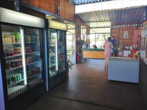 The shop where you can buy a variety of vegan goodies at Ashers Farm Sanctuary in Pretoria
