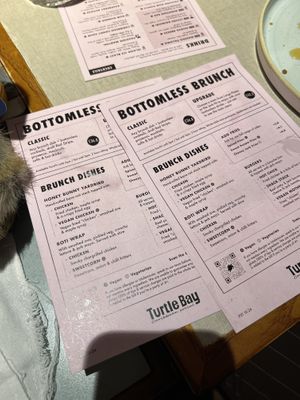   at Turtle Bay in Cardiff