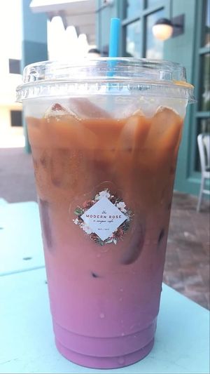   at The Modern Rose in Deerfield Beach