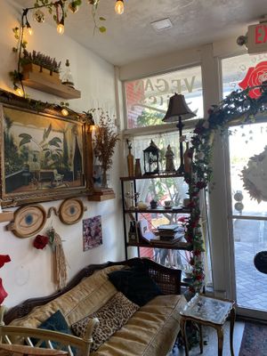   at The Modern Rose in Deerfield Beach