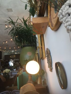 Inside at The Modern Rose in Deerfield Beach