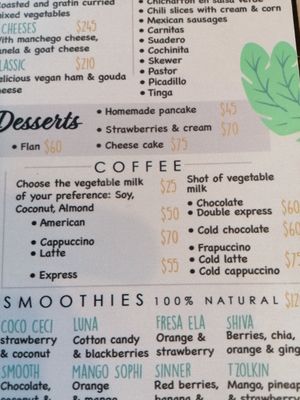 Menu - lots of plant milk to choose from at Las Robles in Puerto Morelos