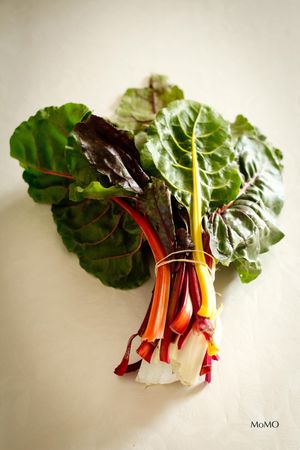 Fresh organic vegetables. at 3 4 4 in Alicante