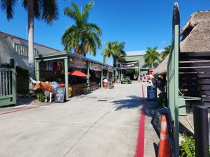  at Yellow Green Farmers Market in Hollywood