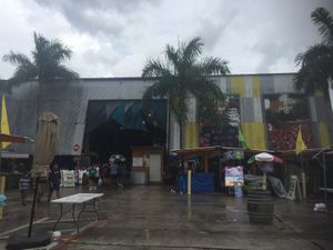 Front on a rainy day at Yellow Green Farmers Market in Hollywood