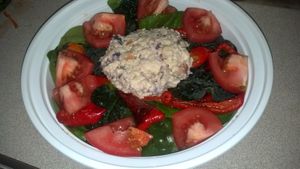 Vegan gluten free chicken salad on a bed of greens  at EARTH in Twain Harte