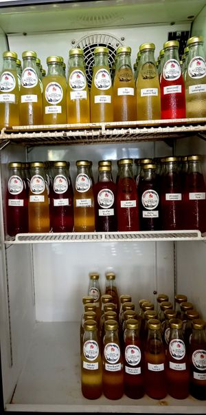 Kombucha 24 flavors  at 29 Coffties in Chiang Mai