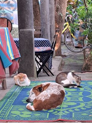  at Cafe Zen in Negombo