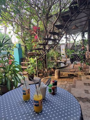 Lekkere drankjes at Cafe Zen in Negombo