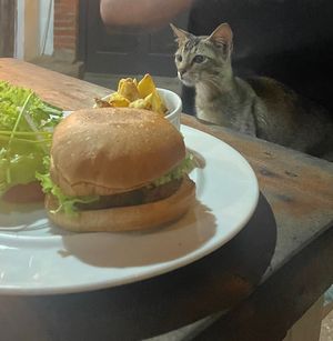 Bean burger - simple but nice   at Cafe Zen in Negombo