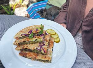 Falafel wrap - yummy, big portion   at Cafe Zen in Negombo