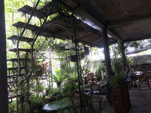 ambience at Cafe Zen in Negombo