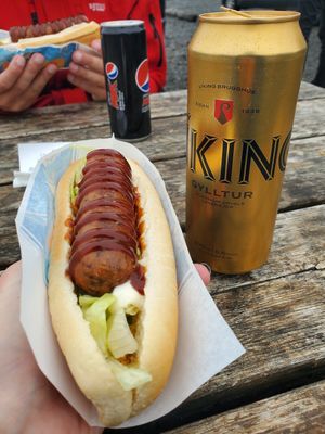  at Heimahumar - Food Truck in Jokulsarlon