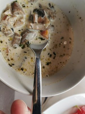  at Satsanga in Sofia