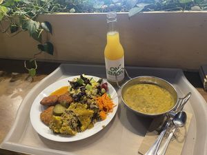   at Satsanga in Sofia