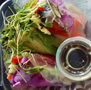 Spring rolls at Cien 100% Naturalisimo in Berwyn
