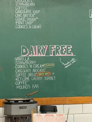 Vegan options  at New City Microcreamery in Cambridge