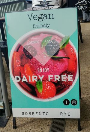 Vegan sorbets  at Mubble in Rye