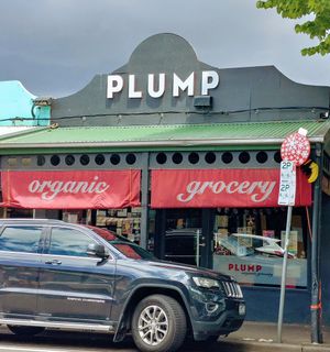 Plump at Plump in Yarraville