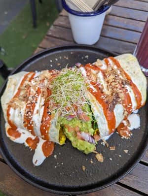  at Argi in Kensington