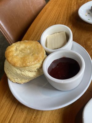 Biscuit  at Life on Mars in Seattle