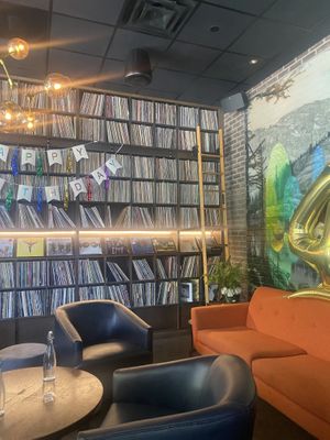 Vinyl Library Section w/Ladder   at Life on Mars in Seattle