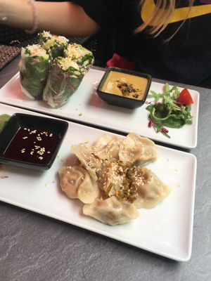 Delicious dumplings and ricepaper rolls! at Tiger Club Vegan Sushi in Berlin