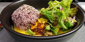 Bowl caliente con tofu, mango, arroz, brotes verdes y salsa curry at Tiger Club Vegan Sushi in Berlin