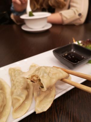Vegan grilled dumplings at Tiger Club Vegan Sushi in Berlin