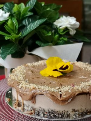 Vegan gluten-free Snickers cake with homemade peanut butter caramel at Rawcakes Thalia  in Sofia