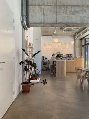 Counter (and cute dog!)  at Tea Stories in Eindhoven