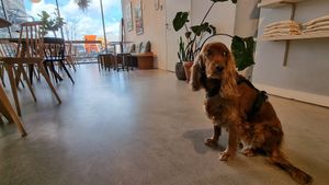 Tea stories dog at Tea Stories in Eindhoven